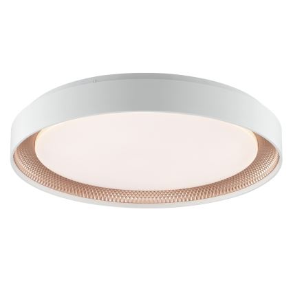 Brilliant - LED затемнюваний стельний світильник WALDO LED/36W/230V 3000-6500K діам. 48,5 cm білий/рожево-золотий + пульт дистанційного керування