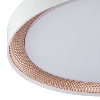 Brilliant - LED затемнюваний стельний світильник WALDO LED/36W/230V 3000-6500K діам. 48,5 cm білий/рожево-золотий + пульт дистанційного керування