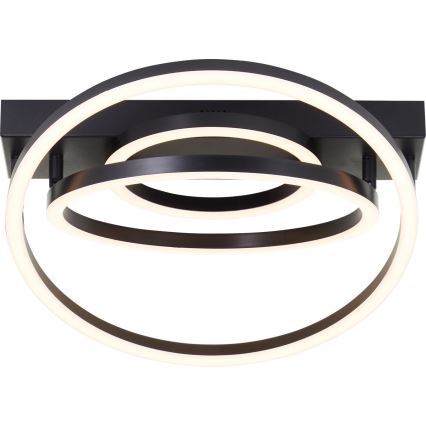 Brilliant - LED стельовий світильник з регулюванням яскравості PEDLEY LED/36W/230V чорний