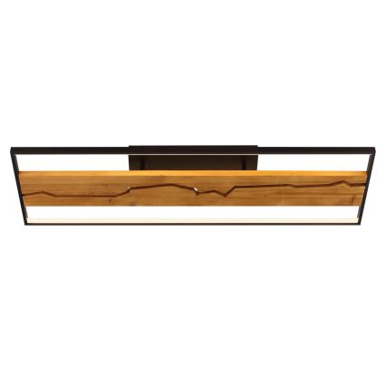 Brilliant - LED регульований стельовий світильник THUNDER LED/42W/230V сосна