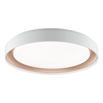 Brilliant - LED затемнюваний стельний світильник WALDO LED/36W/230V 3000-6500K діам. 48,5 cm білий/рожево-золотий + пульт дистанційного керування