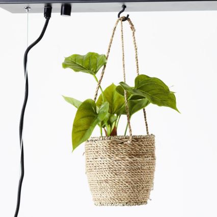 Brilliant - Подвесная люстра на тросе BANKWOOD 5xE27/28W/230V, отделка тополь