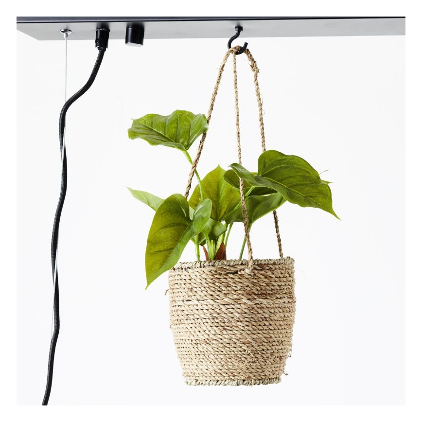 Brilliant - Подвесная люстра на тросе BANKWOOD 5xE27/28W/230V, отделка тополь