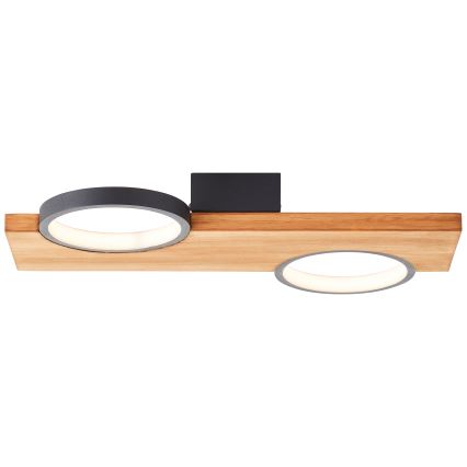Brilliant - Стельовий LED світильник CHEESY LED/14W/230V сосна - FSC сертифіковано