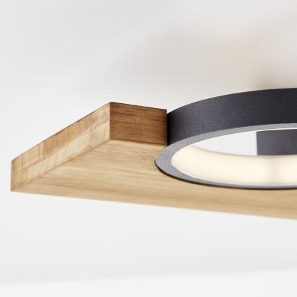 Brilliant - Стельовий LED світильник CHEESY LED/14W/230V сосна - FSC сертифіковано
