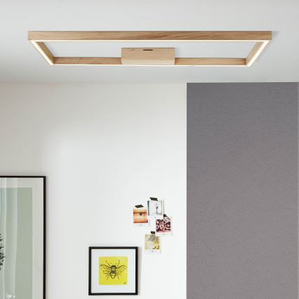 Brilliant - Стельовий LED світильник DELGROSSO LED/24W/230V 3000K дуб