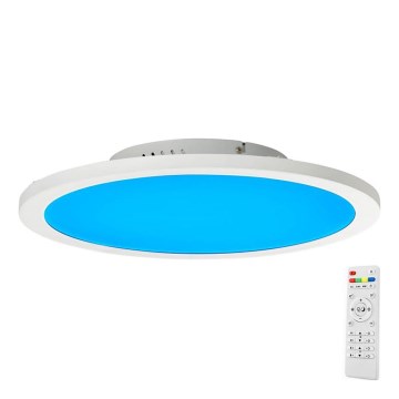 Brilliant - Стельовий RGBW-світильник з регулюванням яскравості ABIE LED/24W/230V 2700-6500K + пульт дистанційного керування