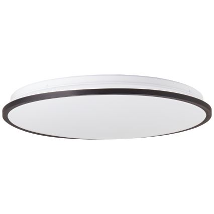 Brilliant - Стельовий RGBW-світильник з регулюванням яскравості HEIDA LED/30W/230V 3000-6500K + пульт дистанційного керування