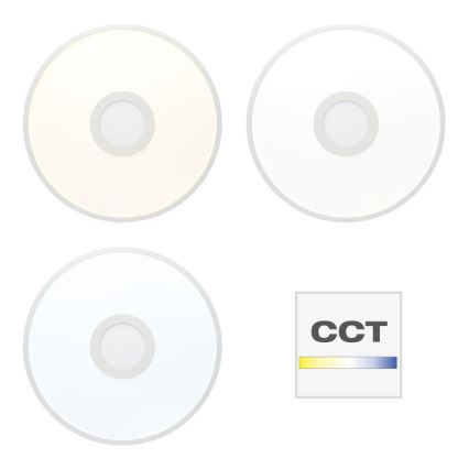 Brilliant - Стельовий RGBW-світильник з регулюванням яскравості ODELLA LED/24W/230V 2700-6500K + пульт дистанційного керування