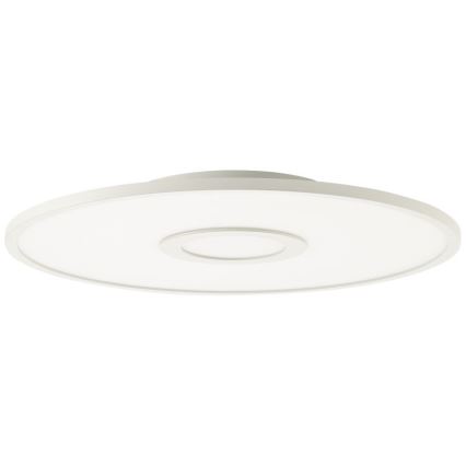 Brilliant - Стельовий RGBW-світильник з регулюванням яскравості ODELLA LED/24W/230V 2700-6500K + пульт дистанційного керування