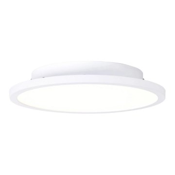 Brilliant - Стельовий LED світильник BUFFI LED/13W/230V діаметр 25 см 2700K