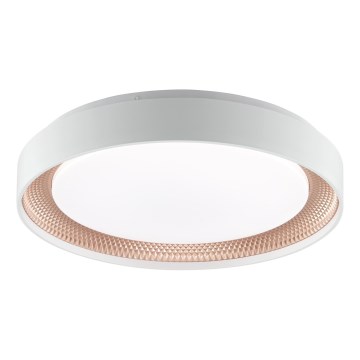 Brilliant - светодиодный диммируемый потолочный светильник WALDO LED/24W/230V 3000-6500K Ø 38,5 см белый/розовое золото + пульт дистанционного управления