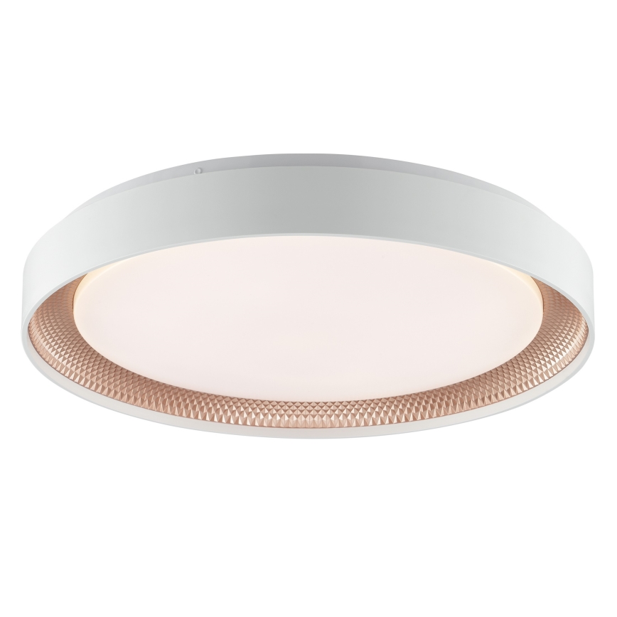 Brilliant - LED диммируемый потолочный светильник WALDO LED/36W/230V 3000-6500K диам. 48,5 см белый/розовое золото + пульт дистанционного управления