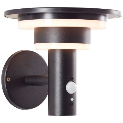 Brilliant - Светодиодный настенный светильник на солнечной батарее с датчиком GARVINA LED/3W/3,7V IP44 черный