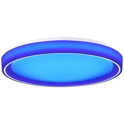 Brilliant - Светодиодный потолочный RGBW-светильник с регулированием яркости FLOCO LED/34W/230V 3000-6500K диаметр 49,5 см белый + дистанционное управление