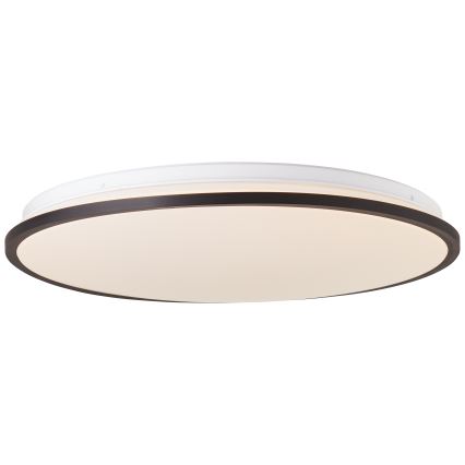 Brilliant - Светодиодный потолочный RGBW-светильник с регулированием яркости HEIDA LED/30W/230V 3000-6500K + дистанционное управление