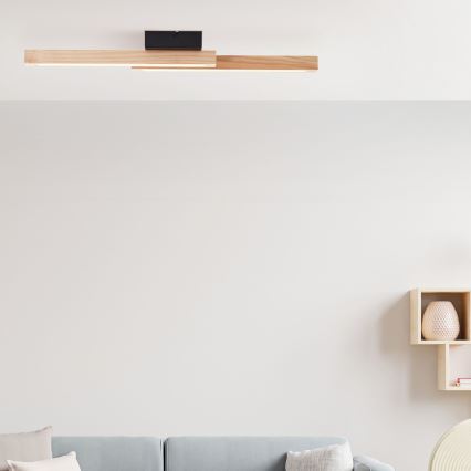 Brilliant - Светодиодный потолочный светильник ARION LED/14W/230V сосна