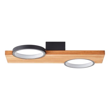 Brilliant - Светодиодный потолочный светильник CHEESY LED/14W/230V сосна