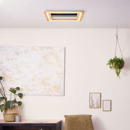 Brilliant - Светодиодный потолочный светильник с регулированием яркости RHEA LED/24W/230V 3000K 45x45 см