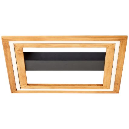 Brilliant - Светодиодный потолочный светильник с регулированием яркости RHEA LED/24W/230V 3000K 45x45 см