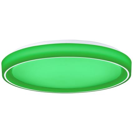 Brilliant - Светодиодный потолочный RGBW-светильник с регулированием яркости FLOCO LED/34W/230V 3000-6500K диаметр 49,5 см белый + дистанционное управление