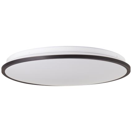 Brilliant - Светодиодный потолочный RGBW-светильник с регулированием яркости HEIDA LED/30W/230V 3000-6500K + дистанционное управление
