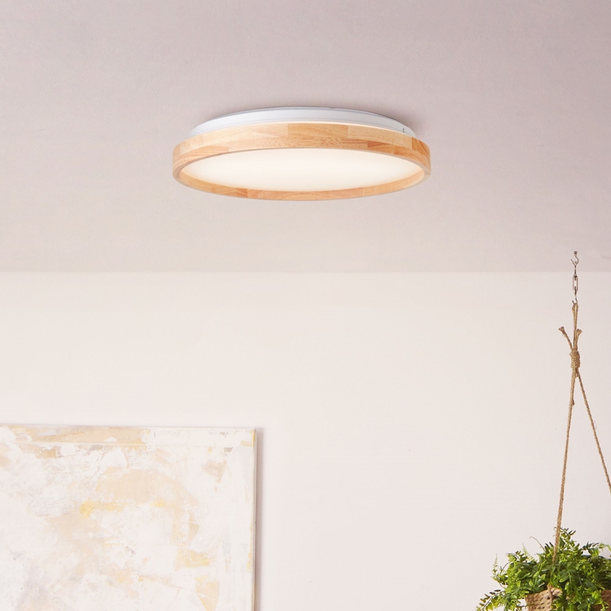 Brilliant - Светодиодный потолочный светильник ALSON LED/26W/230V 3000/4500K диаметр 39,5 см каучук
