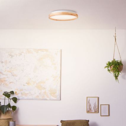 Brilliant - Светодиодный потолочный светильник ALSON LED/26W/230V 3000/4500K диаметр 39,5 см каучук