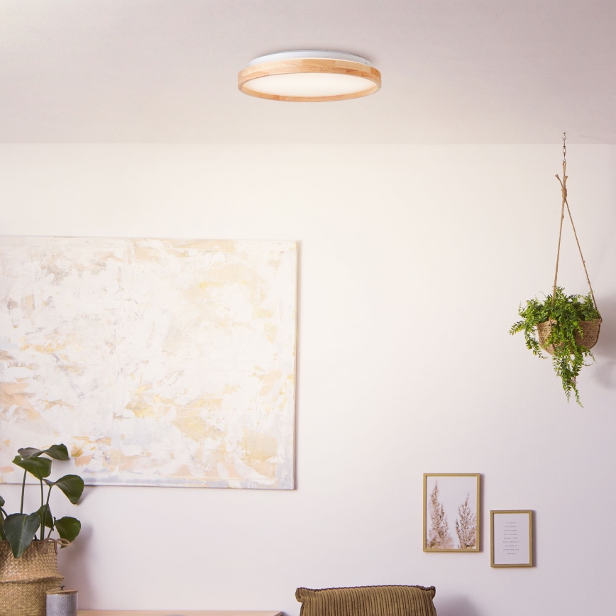 Brilliant - Светодиодный потолочный светильник ALSON LED/26W/230V 3000/4500K диаметр 39,5 см каучук