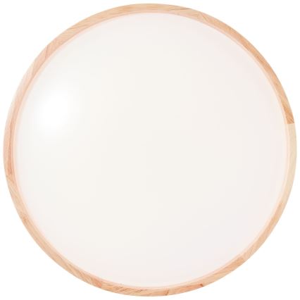 Brilliant - Светодиодный потолочный светильник ALSON LED/26W/230V 3000/4500K диаметр 39,5 см каучук