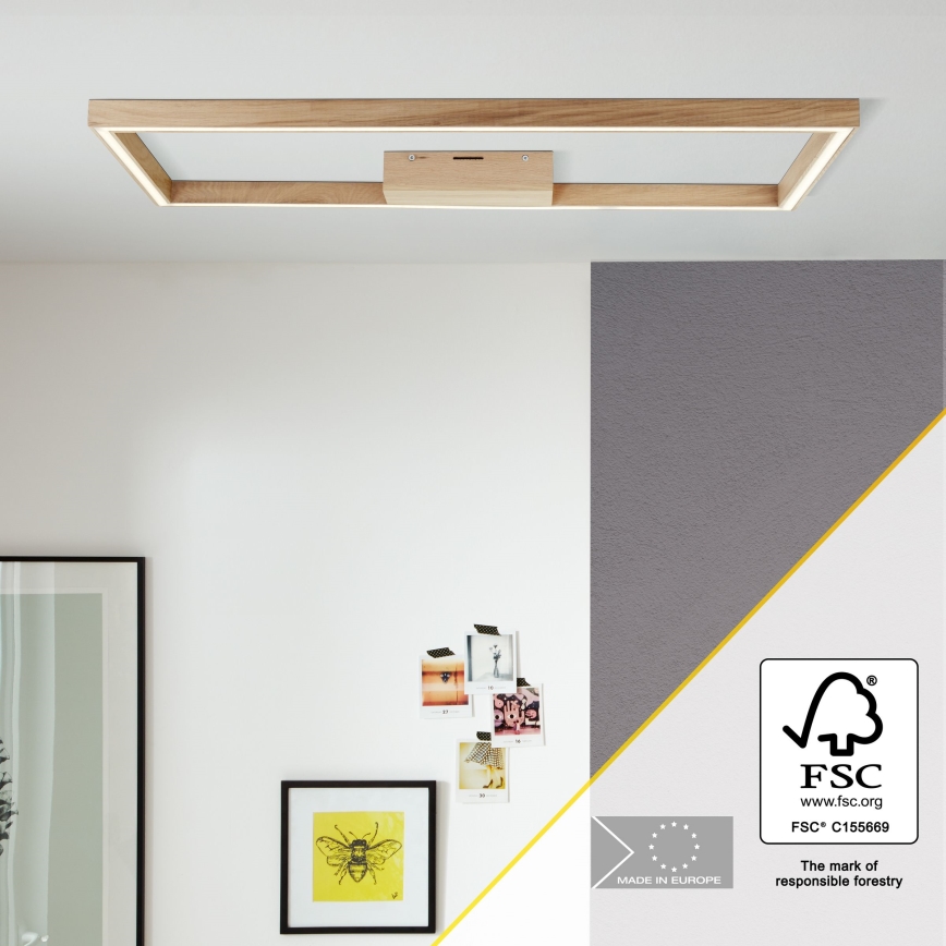 Brilliant - Светодиодный потолочный светильник DELGROSSO LED/24W/230V 3000K дуб
