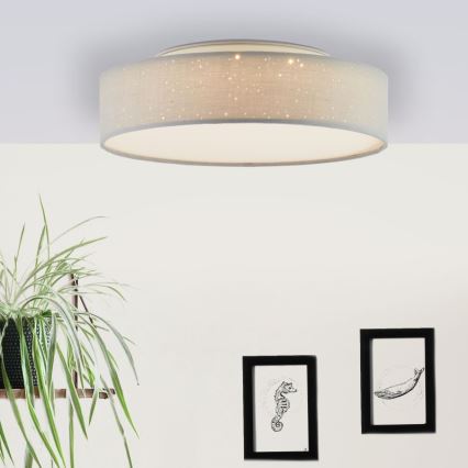 Brilliant - Светодиодный потолочный светильник с регулированием яркости BASKA LED/12W/230V диаметр 38 см 3000K