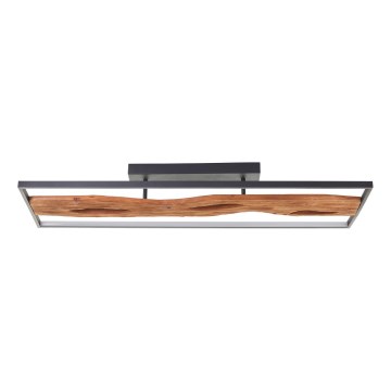 Brilliant - Светодиодный потолочный светильник с регулированием яркости CHAUMONT LED/48W/230V каучук - сертифицировано FSC