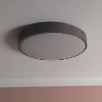 Brilliant - Светодиодный потолочный светильник с регулированием яркости FILIZ LED/24W/230V диаметр 38,5 см серый