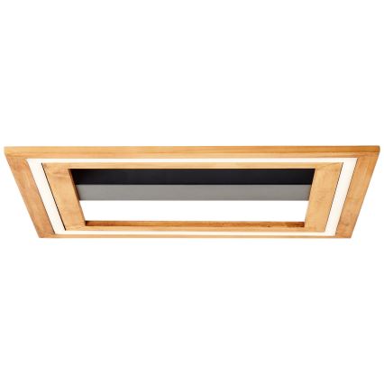 Brilliant - Светодиодный потолочный светильник с регулированием яркости RHEA LED/24W/230V 3000K 45x45 см