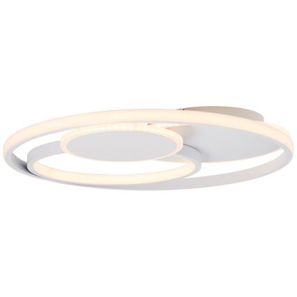 Brilliant - Светодиодный потолочный светильник с регулированием яркости RUNDA LED/50W/230V 3000-6500K белый + дистанционное управление