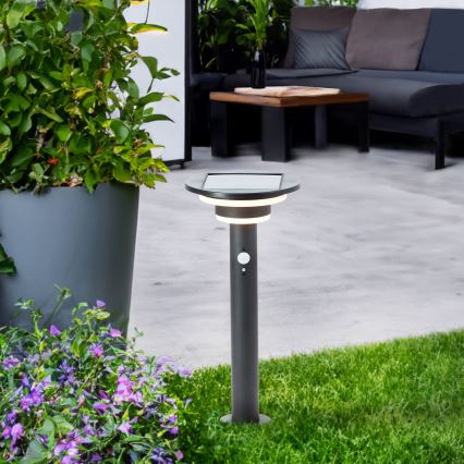 Brilliant - Светодиодный светильник на солнечной батарее с датчиком GARVINA LED/3W/3,7V 45 см IP44 черный