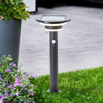 Brilliant - Светодиодный светильник на солнечной батарее с датчиком GARVINA LED/3W/3,7V 45 см IP44 черный