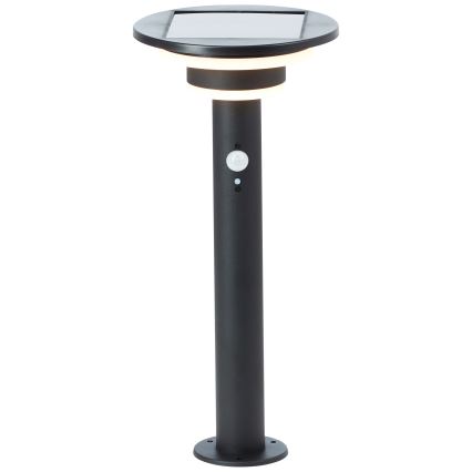 Brilliant - Светодиодный светильник на солнечной батарее с датчиком GARVINA LED/3W/3,7V 45 см IP44 черный