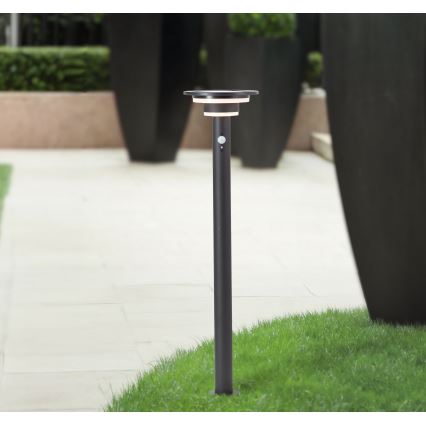 Brilliant - Светодиодный светильник на солнечной батарее с датчиком GARVINA LED/3W/3,7V 85 см IP44 черный