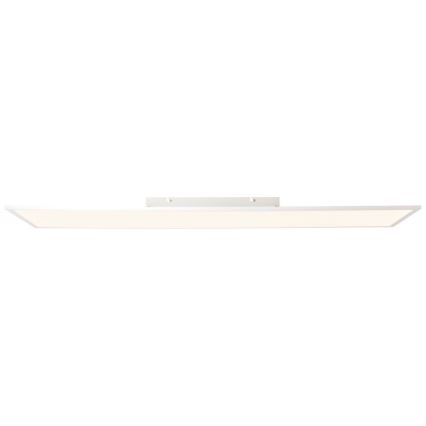 Brilliant - Світлодіодна панель CHARLA LED/40W/230V 29,5x119,5 см 2700K
