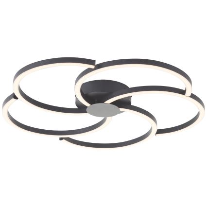 Brilliant - Світлодіодний стельовий світильник з регулюванням яскравості FICO LED/32W/230V діаметр 57 см чорний