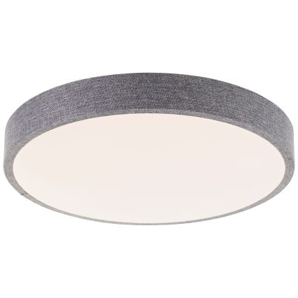 Brilliant - Світлодіодний стельовий світильник з регулюванням яскравості FILIZ LED/24W/230V діаметр 38,5 см сірий