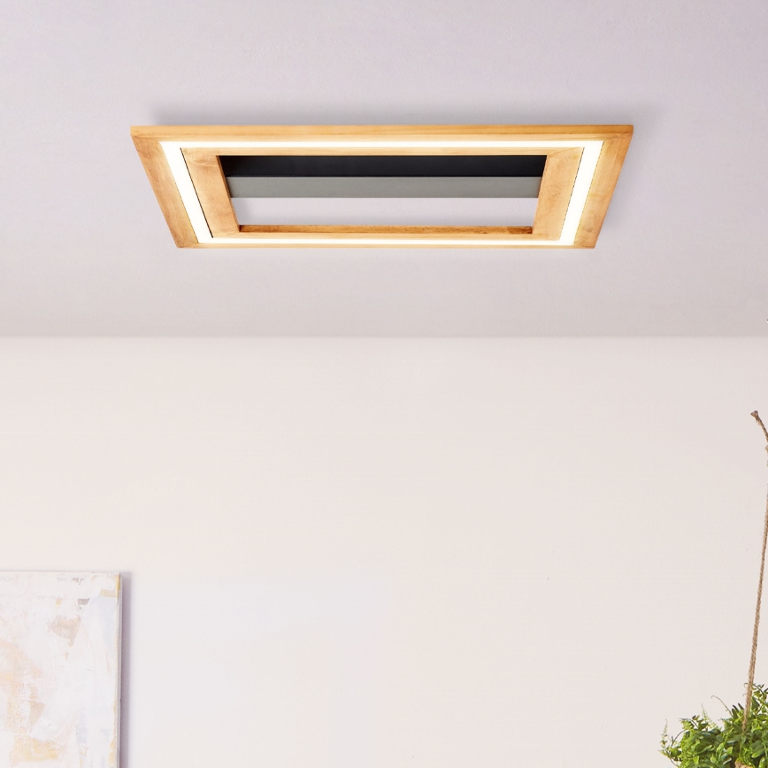 Brilliant - Світлодіодний стельовий світильник з регулюванням яскравості RHEA LED/24W/230V 3000K 45x45 см