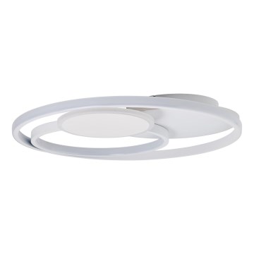 Brilliant - Світлодіодний стельовий світильник з регулюванням яскравості RUNDA LED/50W/230V 3000-6500K білий + пульт дистанційного керування