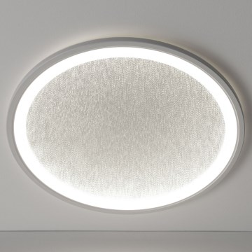 Brilliant - Світлодіодний стельовий світильник з регулюванням яскравості TANIDA LED/31W/230V 3000-6500K + пульт дистанційного керування