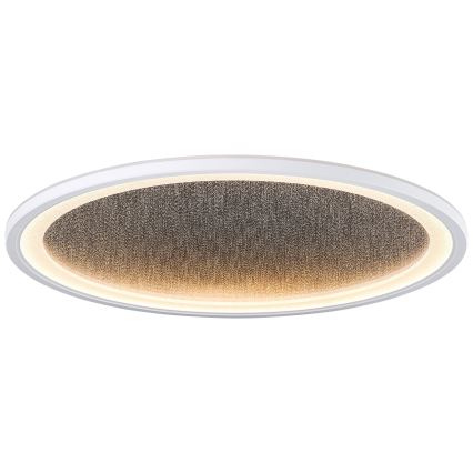 Brilliant - Світлодіодний стельовий світильник з регулюванням яскравості TANIDA LED/31W/230V 3000-6500K + пульт дистанційного керування