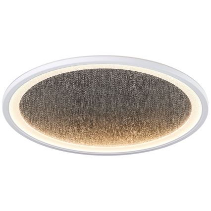 Brilliant - Світлодіодний стельовий світильник з регулюванням яскравості TANIDA LED/31W/230V 3000-6500K + пульт дистанційного керування