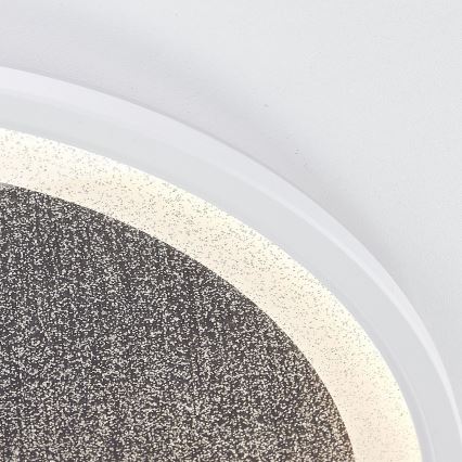 Brilliant - Світлодіодний стельовий світильник з регулюванням яскравості TANIDA LED/31W/230V 3000-6500K + пульт дистанційного керування