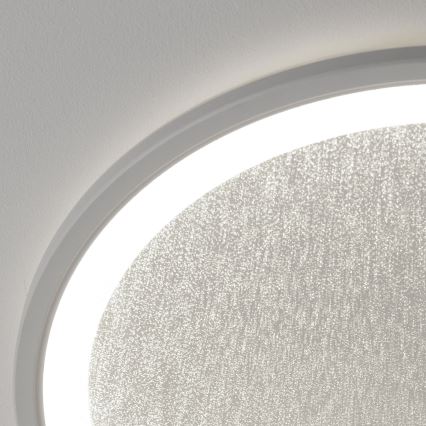 Brilliant - Світлодіодний стельовий світильник з регулюванням яскравості TANIDA LED/31W/230V 3000-6500K + пульт дистанційного керування